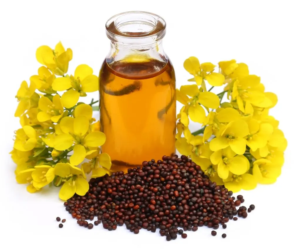 MUSTARD OIL second image