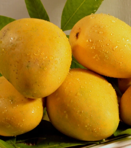 ORGANIC BANGINAPALLY